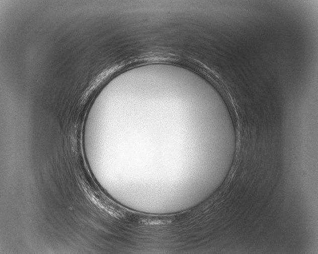 X0000086290155200703300911