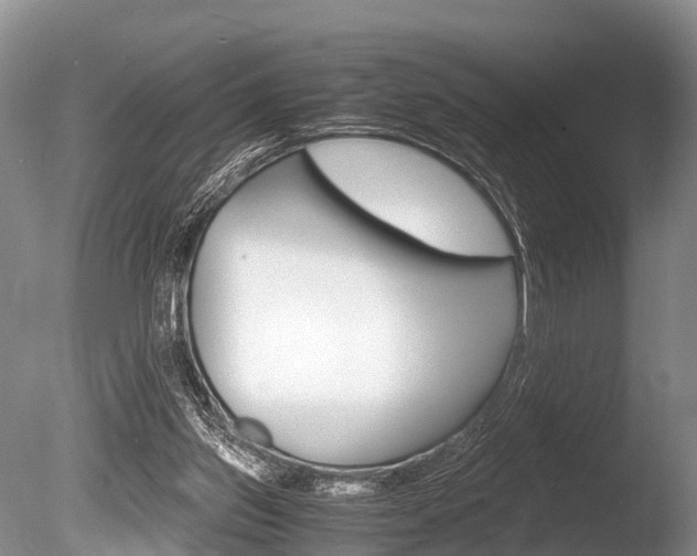 X0000086290157200703300911
