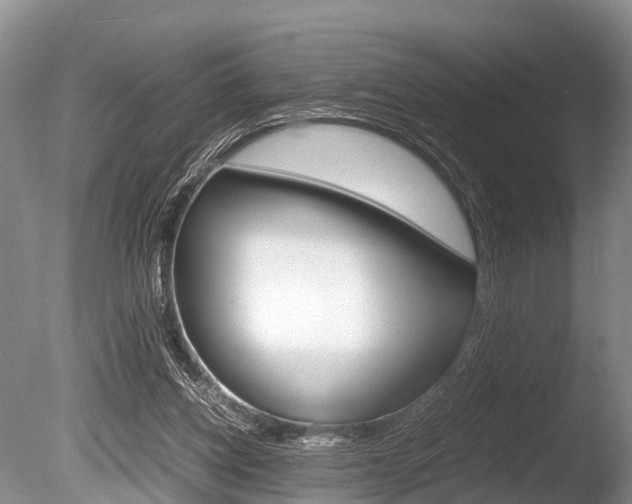 X0000086290158200703300911