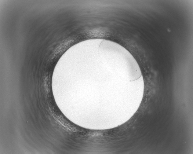 X0000086290162200703300911