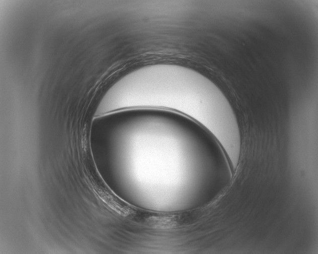 X0000086290170200703300911