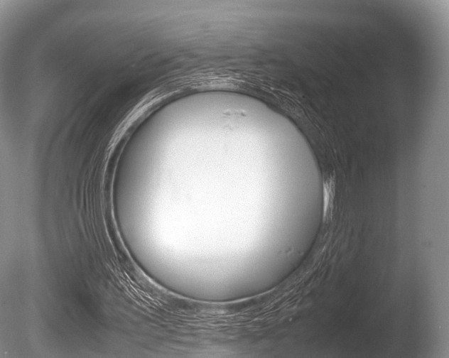 X0000086290195200703300911
