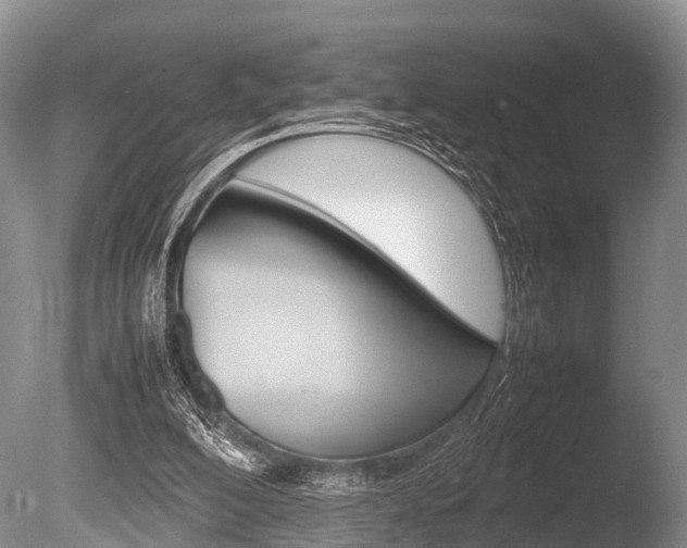 X0000086290200200703300911