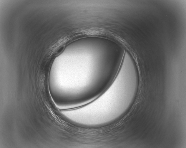 X0000086290201200703300911