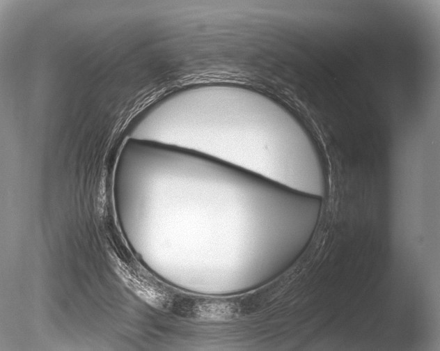 X0000086290202200703300911