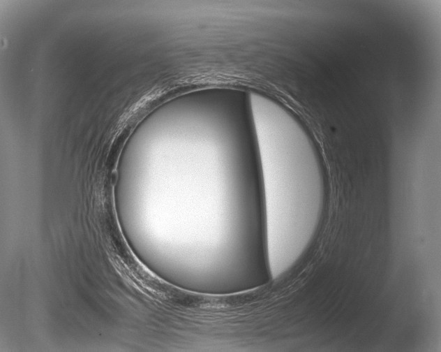 X0000086290203200703300911