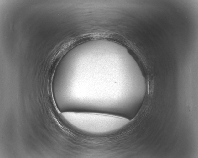 X0000086290205200703300911