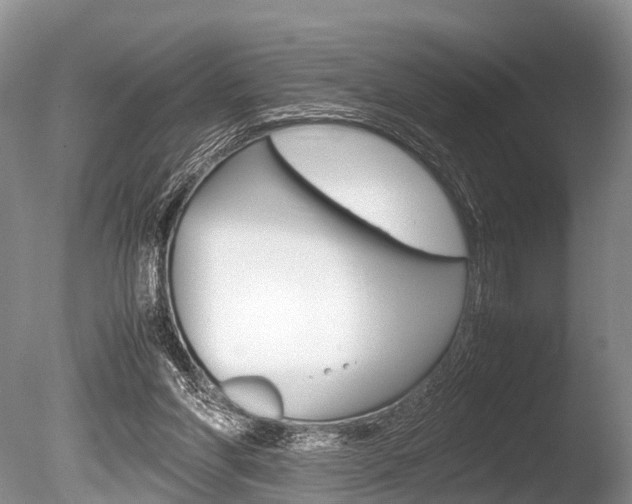 X0000086290206200703300910