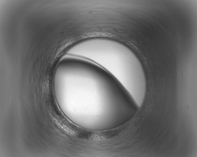 X0000086290207200703300910