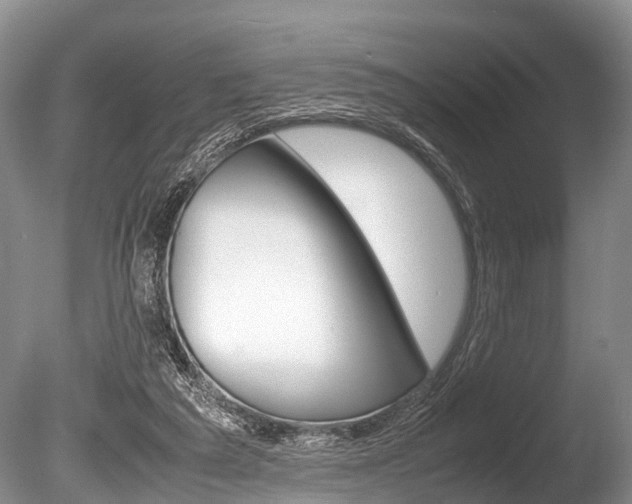 X0000086290209200703300910