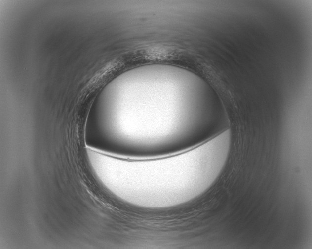X0000086290211200703300910
