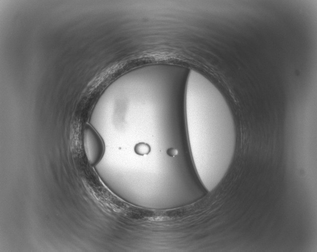 X0000086290212200703300910