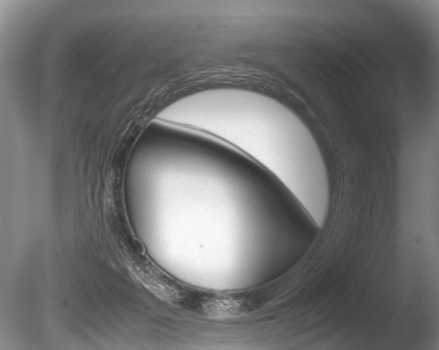 X0000086290217200703300910