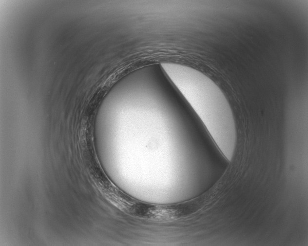 X0000086290221200703300910