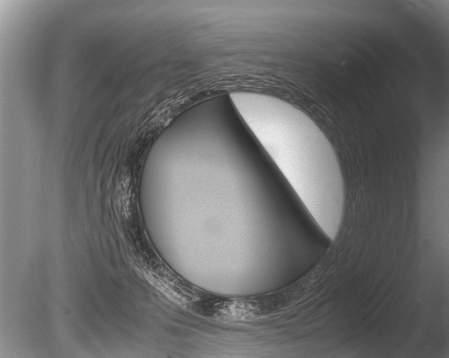 X0000086290223200703300910