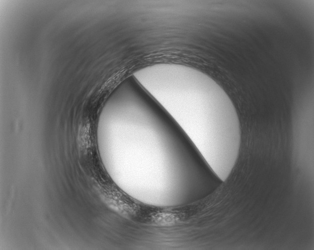 X0000086290224200703300910