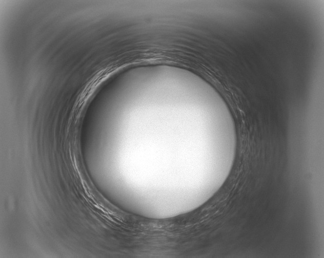 X0000086290241200703300909