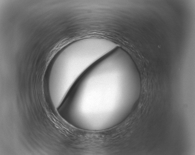 X0000086290242200703300909