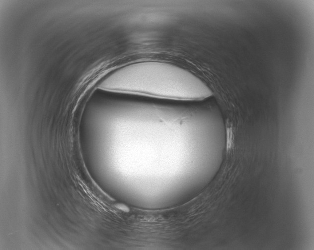 X0000086290243200703300909