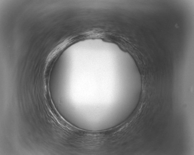 X0000086290245200703300909