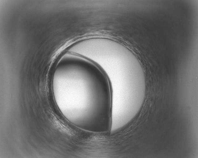 X0000086290248200703300909
