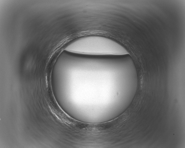 X0000086290254200703300909