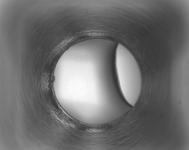 X0000086290255200703300909