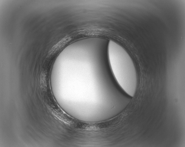 X0000086290258200703300909