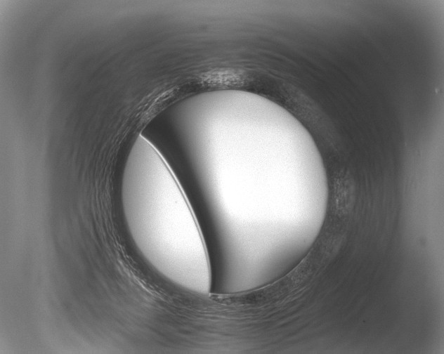 X0000086290259200703300909