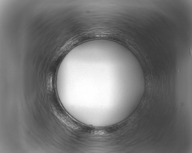 X0000086290262200703300909