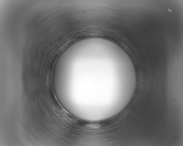 X0000086290266200703300910