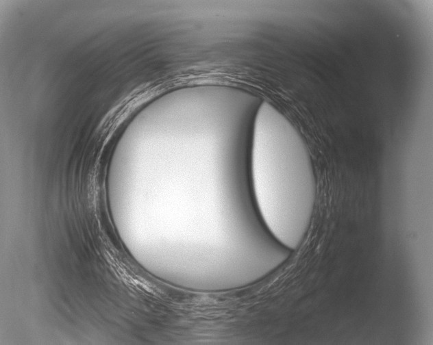 X0000086290290200703300909