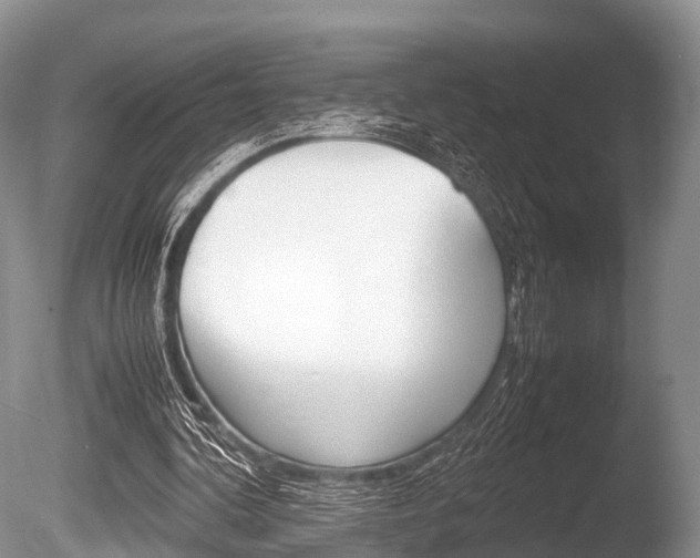 X0000086290292200703300909
