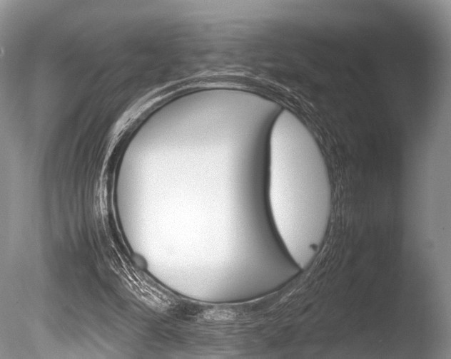 X0000086290294200703300909