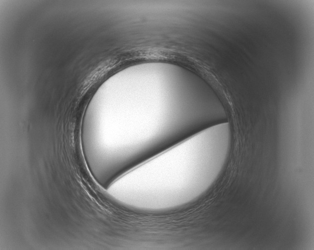 X0000086290299200703300909