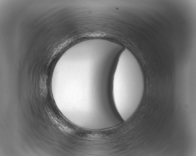 X0000086290300200703300909