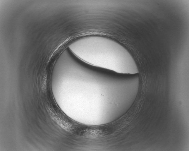X0000086290304200703300909