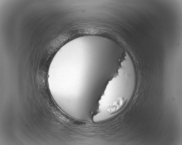 X0000086290305200703300909