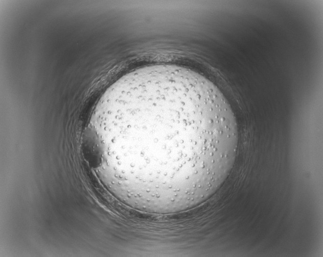 X0000086290307200703300909