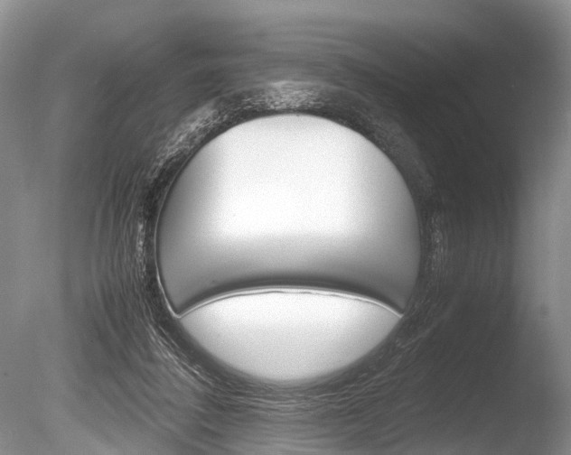 X0000086290308200703300909