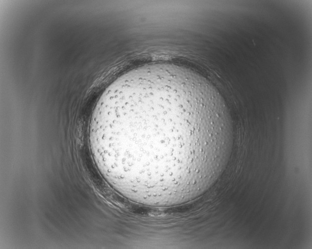 X0000086290311200703300909