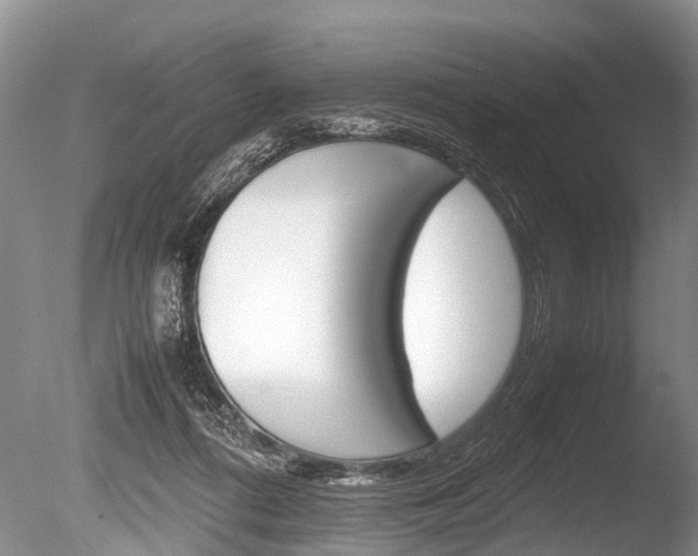 X0000086290312200703300909