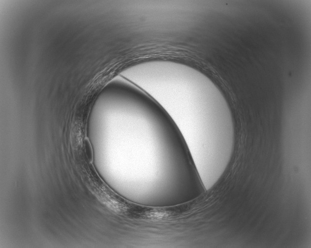 X0000086290313200703300909