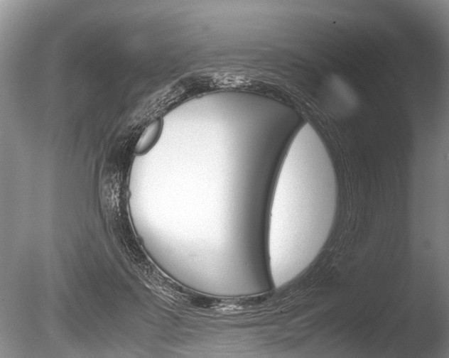X0000086290315200703300909