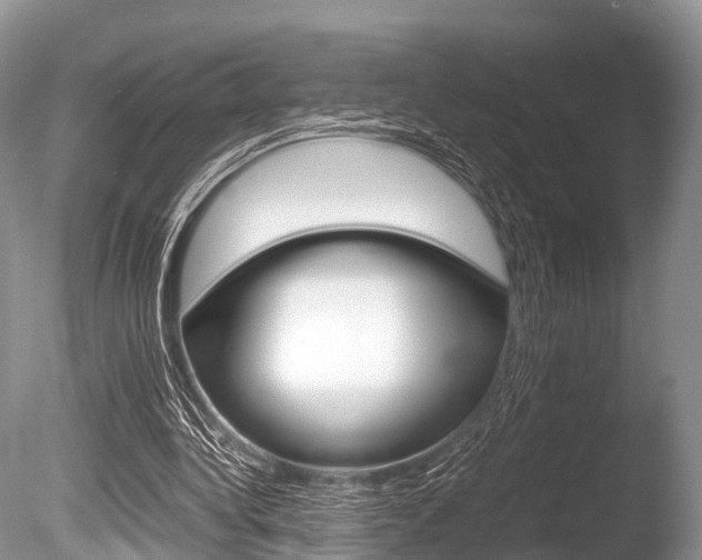 X0000086290340200703300907