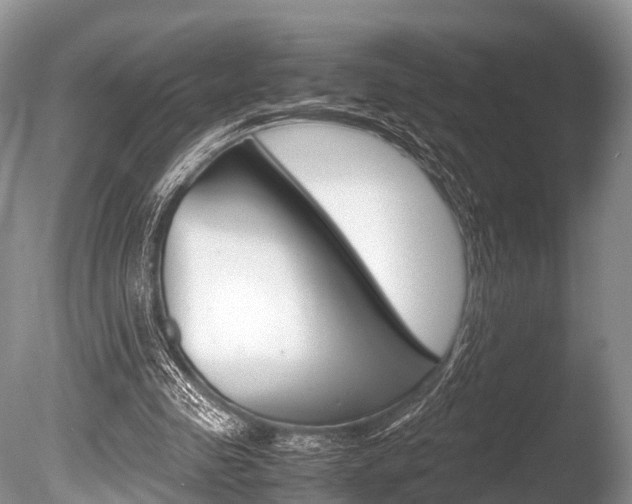 X0000086290341200703300907