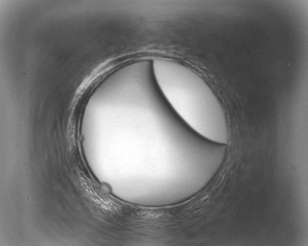 X0000086290343200703300908