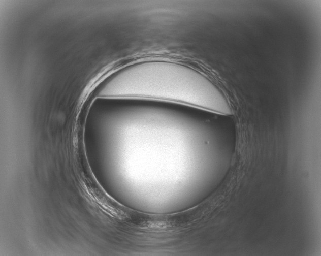 X0000086290344200703300908