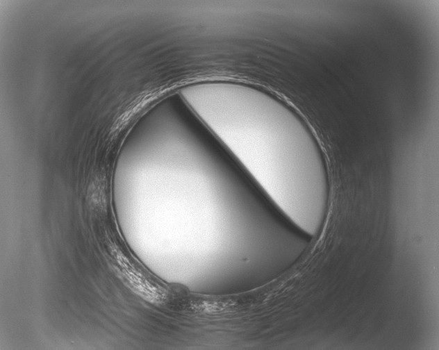 X0000086290345200703300908