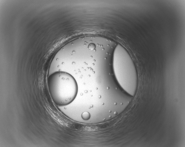X0000086290346200703300908